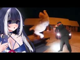 Shylily Reacts To Craziest Police Videos