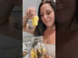 🍍 The Magic of Pineapple Scraps #tepache #fermentation #pineappleplant