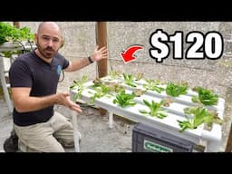 The Best Value Nutrient Film Technique Hydroponic System