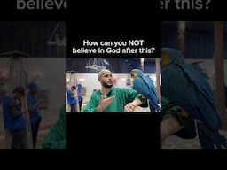 Animals on this Earth prove that Islam is the TRUTH