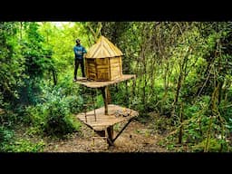 2Day Builder Shelter In Tree 7m Solo Skills Survival Cooking In Wild