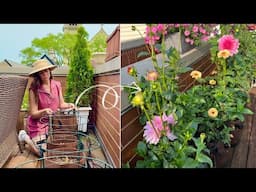 Creating A Container Dahlia Border 🌼🪴Growing Dahlias In Grow Bags!