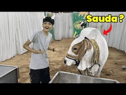 Mandi mein Cow ka soda hogya ?