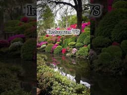 Instagram VS reality