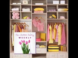 Work with a Professional Organizer…or Organize Like You’re a Pro - The Clutter Fairy Weekly #252