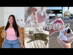 6AM DAYS IN MY LIFE! Productive Morning Routine, Cooking, Skincare & Healthy Habits