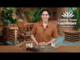 Best Summer Vegetables: Anamaria Gutierrez