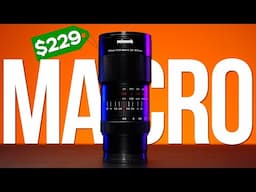 Cheapest Full Frame 2x Macro Lens! PerGear 100mm f2.8 2X Macro Lens Review
