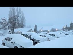 Extreme weather devastated South Africa! Snow and flood wreak havoc in Eastern Cape