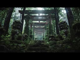 OS TESOUROS DO SUL DO JAPÃO