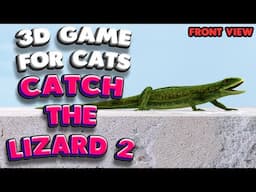3D game for cats | CATCH THE LIZARD 2 (front view) | 4K, 60 fps, stereo sound