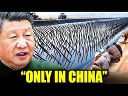 Everybody Laughed At China For Burying Tons Of Plants In Desert... 10 Years Later, They Regretted It