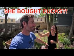 She Bought Baby Ducks… I Built Them a Duck Mansion 🦆💡💦