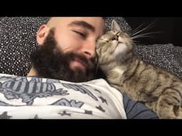 When Your Cat Loves You in The Gentlest Way ❤️