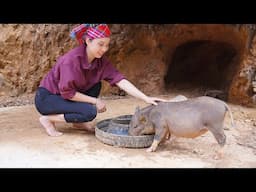 It's Not a Dream - I tamed a wild boar | No es un sueño: domé un jabalí