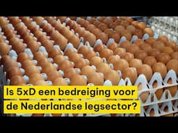 Is 5xD een bedreiging voor de Nederlandse legsector?