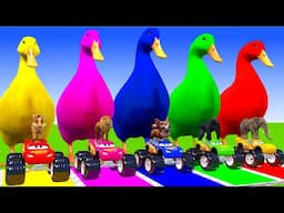 Long Slide Game With Elephant Gorilla Buffalo Hippopotamus Tiger 3d Animal Game Funny 3d Animals