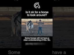 It all depends. #horse #fyp #horselife #carsonjames #vaquero #buckaroo