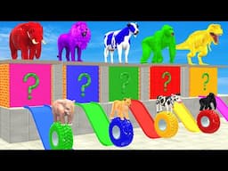 Don't OPEN the Wrong Door 🚪 with Elephant, Cow, Lion, Gorilla, T-Rex Long Slide Animals Tire Game