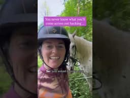 Surprises while out Hacking!