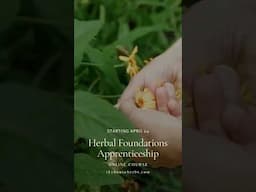 Herbal Foundations Apprenticeship