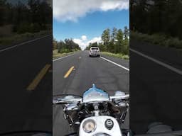 Pass 'Em If You Got 'Em Indian Springfield #short #indianspringfield