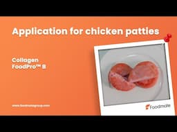 Keep Your Chopped Meats Juicy & Shape-Perfect with Collagen FoodPro™ B!