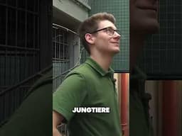 Ein Sack zum Spielen für die Ozelots #pandagorillaundco #zoo