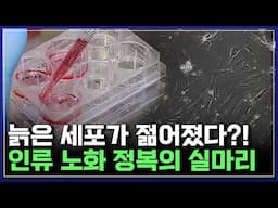 죽은 줄 알았던 세포가 되살아났다?! 세계가 놀란 연구! 노화의 개념을 뒤집다 | 브라보 K-사이언티스트 [반복재생]/YTN 사이언스