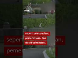 Poster di Gedung Putih menuduh imigran gelap melakukan berbagai kasus kriminal - BBC News Indonesia