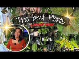 These plants are thriving (right now) + surprise newbies!