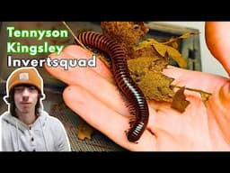 Inverts & Reptiles  -  Tennyson Kingsley of InvertSquad