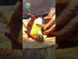 Grandpa CUTTING Goat Head Meat #villagegrandpacooking #goathead #headmeat #mutton #villagelife