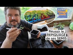 Réussir le REPIQUAGE de ses SEMIS【La formation Potager Coach - chapitre 12】