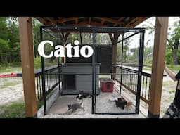 We Build an Outdoor Cat Enclosure