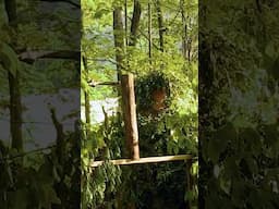 You Can’t See Him. You Can’t Smell Him. It’s Wild Bill! | Mountain Monsters | Travel Channel