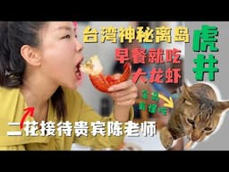台湾神秘离岛🏖️虎井超奢华早餐😋我和猫咪🐱共享大龙虾🦞 做为临时新岛民虎井二花 接待了第一位贵宾陈老师！