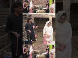 abeera khan funny videos #funny #abeerakhan #comedyfilms #comedymovies #comedy #entertainment