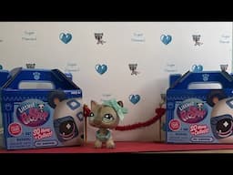 Opening Series 2 LPS Blind Boxes || Q and A