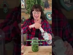 Turn Your Lemon Balm into Medicine Today!