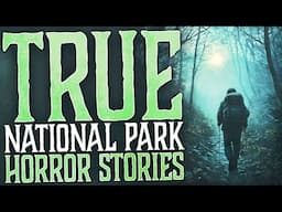 Almost 2 Hours of True National Park Horror Stories | Rain Sounds | Sleep Compilation
