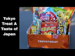 Tokyo Treat Taste Taste | Honest Review