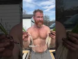 Ensure Explosive Root Growth! #gardening #onions #shorts #gardentips