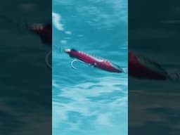 This High Speed Trolling Lure Trolls at over 20knots | MadscadAT190