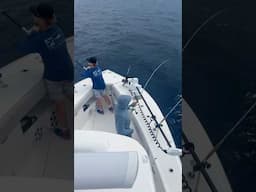 Sailfish bite on the 37 Seavee