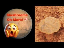 Life Found On Mars! Mushrooms Found! Curiosity Rover, UFO UAP Sighting News.