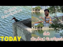 கிணற்றில் கொசு தொல்லை 💥மீன் பிடிக்கப் போறோம் 🔥  தரமான பெரிய சைஸ் மீன்கள்😍 in Pallikaranai