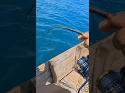 menjerit-jerit reel mau ditarik kebawah kapal #fishing #mancing #ultralightjigging #uqi2017