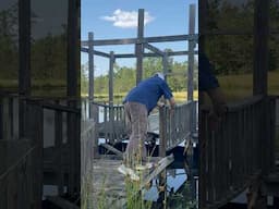 Fishing Lure snagged on rotten dock #yawtyawt