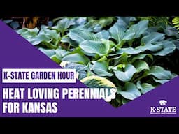 K-State Garden Hour: Heat Loving Perennials for Kansas
